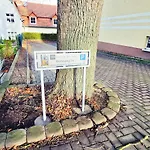 Moritz - Am Rieseninger Berg 1 Apartment Gormar